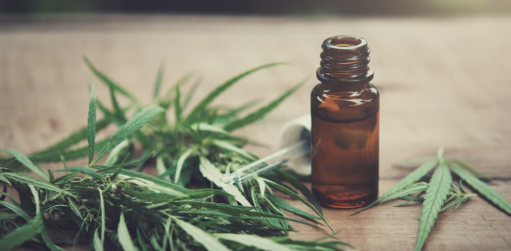 Cannabis herb and leaves with oil extracts in jars. medical concept NHS measures could ease access to medical cannabis