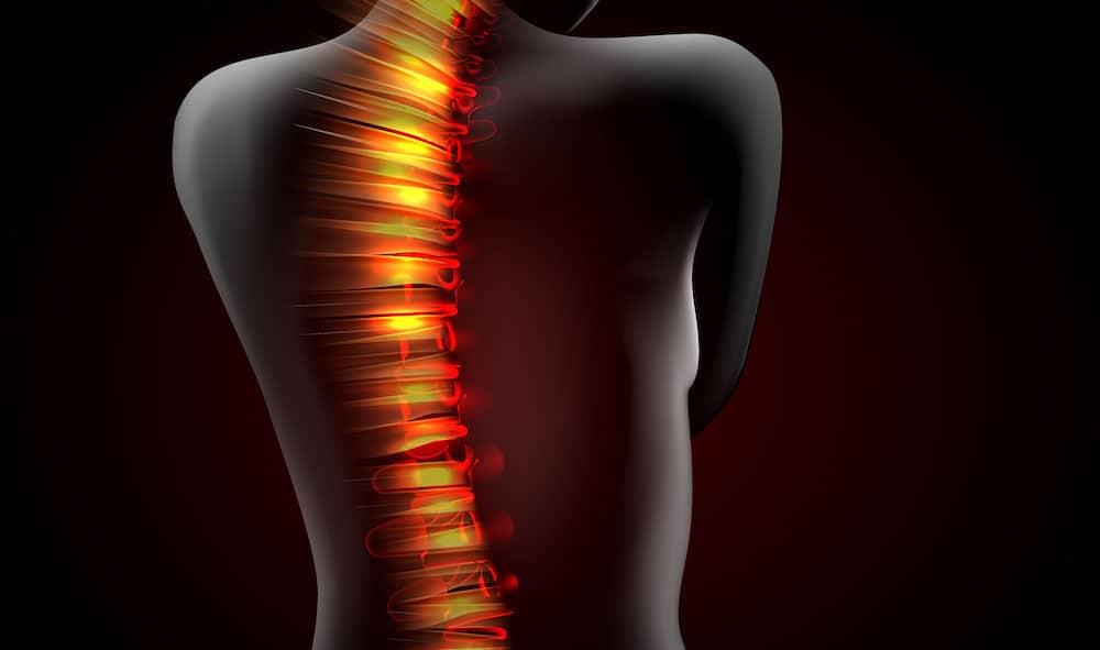 Injection boosts spinal cord injury repair