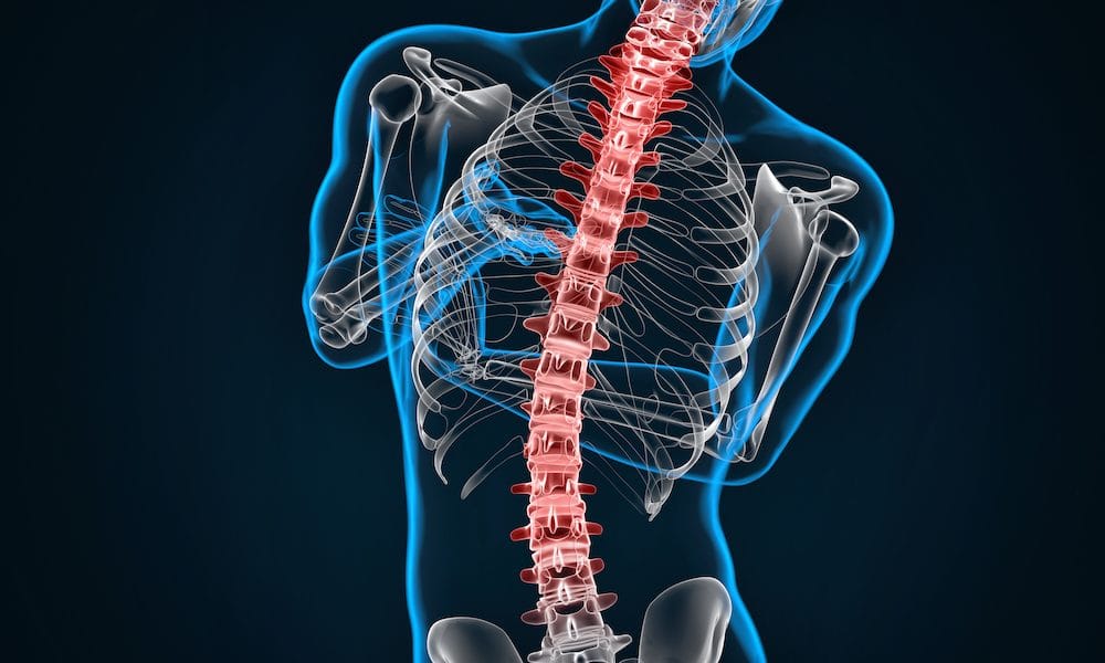 New device could improve spinal injury outcomes