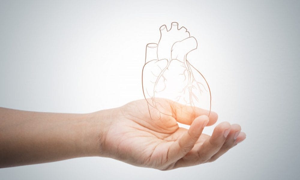 man-holding-heart-illustration-against-gray-wall_46527-387 Semaglutide improves heart health outcomes beyond weight loss