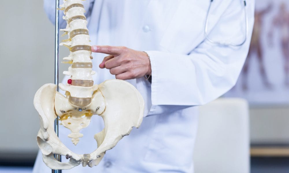 Arm and hand function could be regained following spinal cord injury through new pioneering research