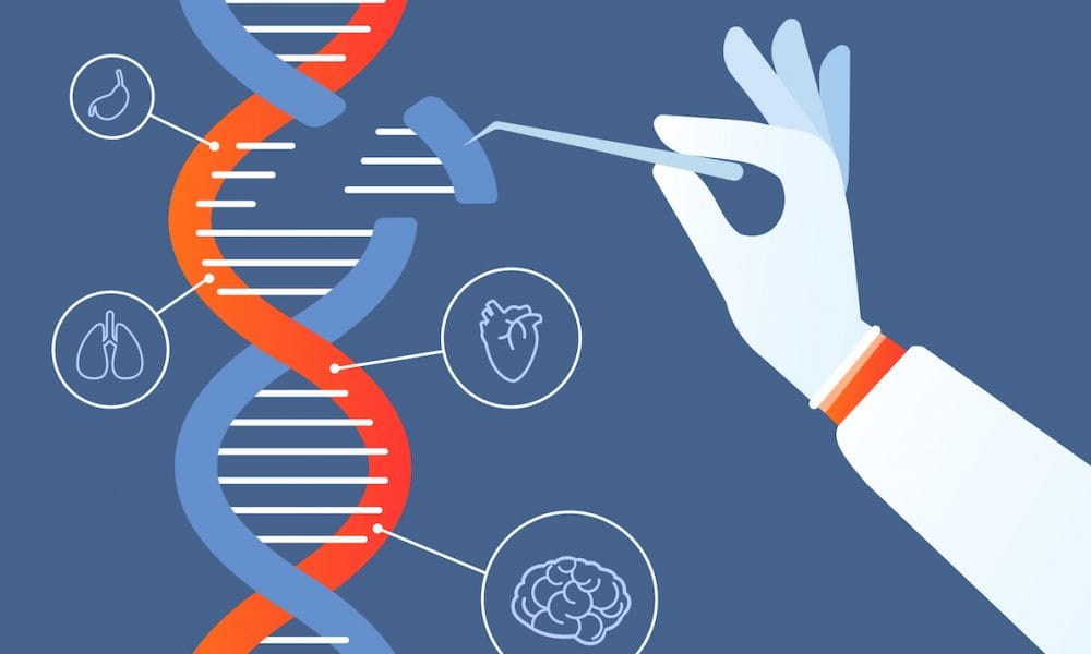 Huntington’s disease gene also enhances early brain development and intelligence