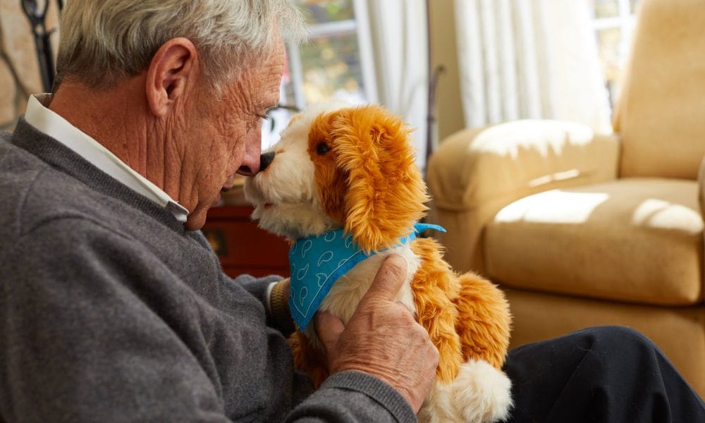 The RoboPets reinventing quality of life