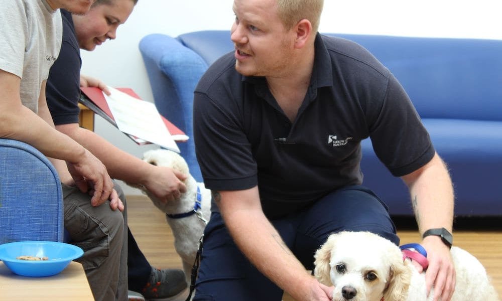 Therapy sees reduction in medication