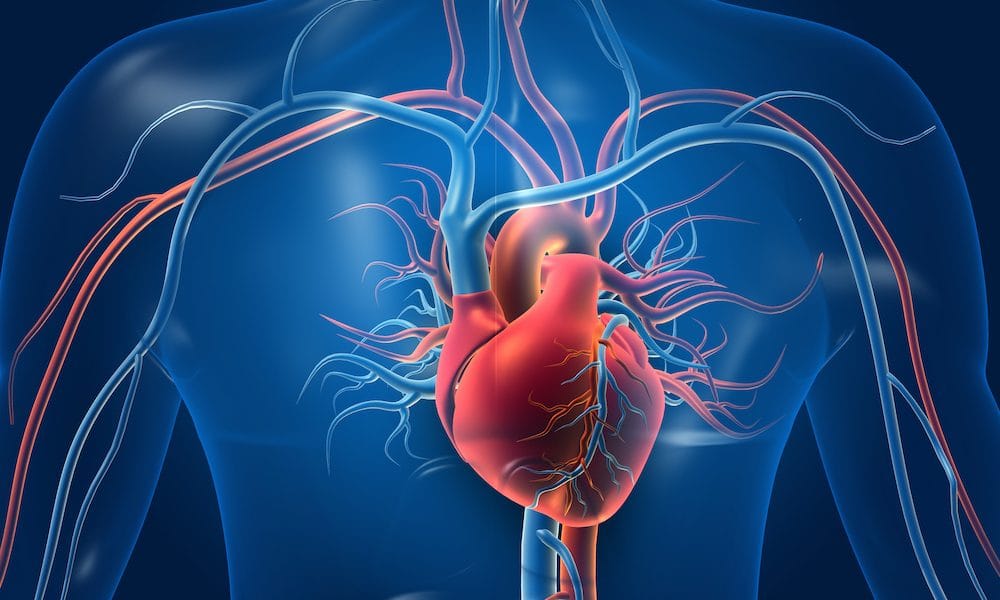 Engineers develop ultrasound patch to monitor blood flow