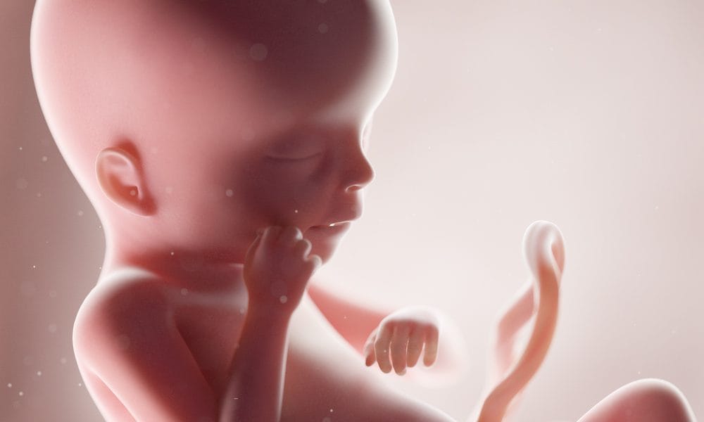 TBI in pregnancy ‘can harm unborn baby’