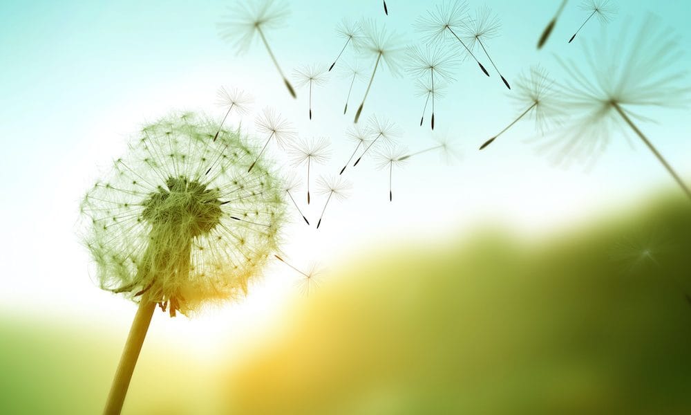 Study to explore lived experience of MND