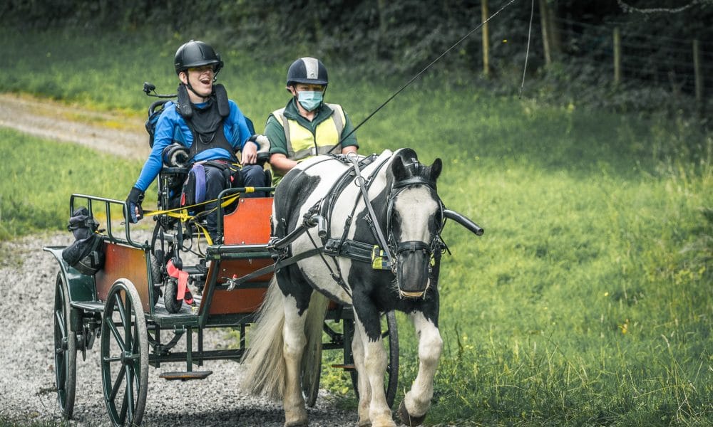 Using horses as healers at Calvert Reconnections