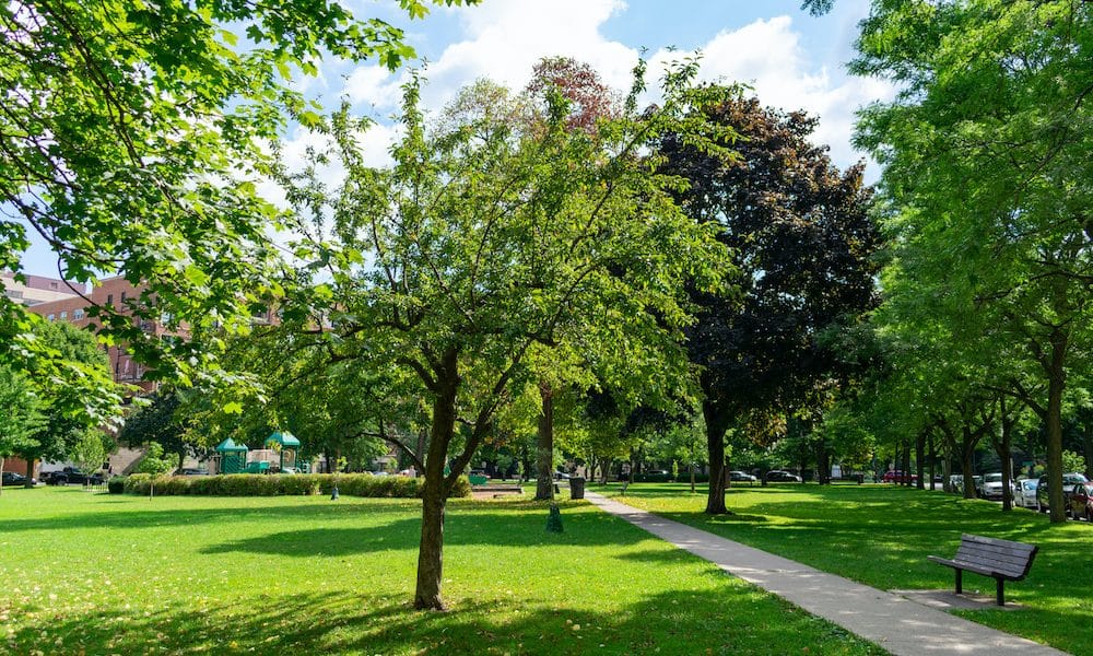 Green space ‘lowers risk of stroke’