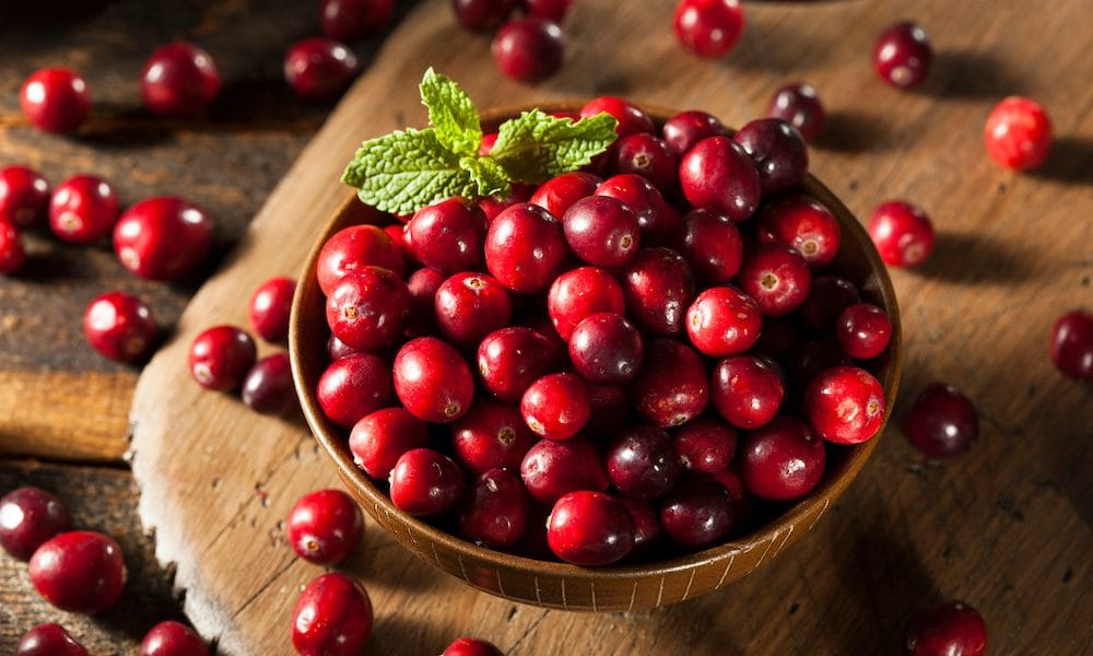 How cranberries could improve memory and ward off dementia Neuro