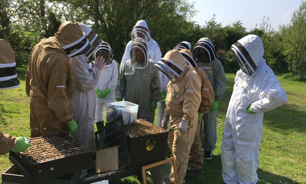 Brain treatment enables Doug to return to beekeeping