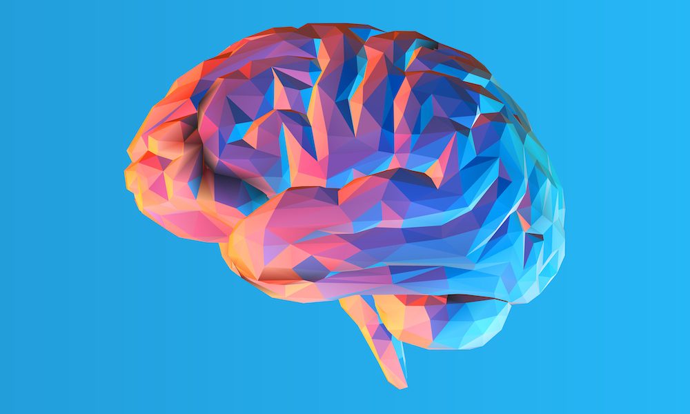 Low poly brain illustration isolated on blue BG SMART Assessments and PDOC