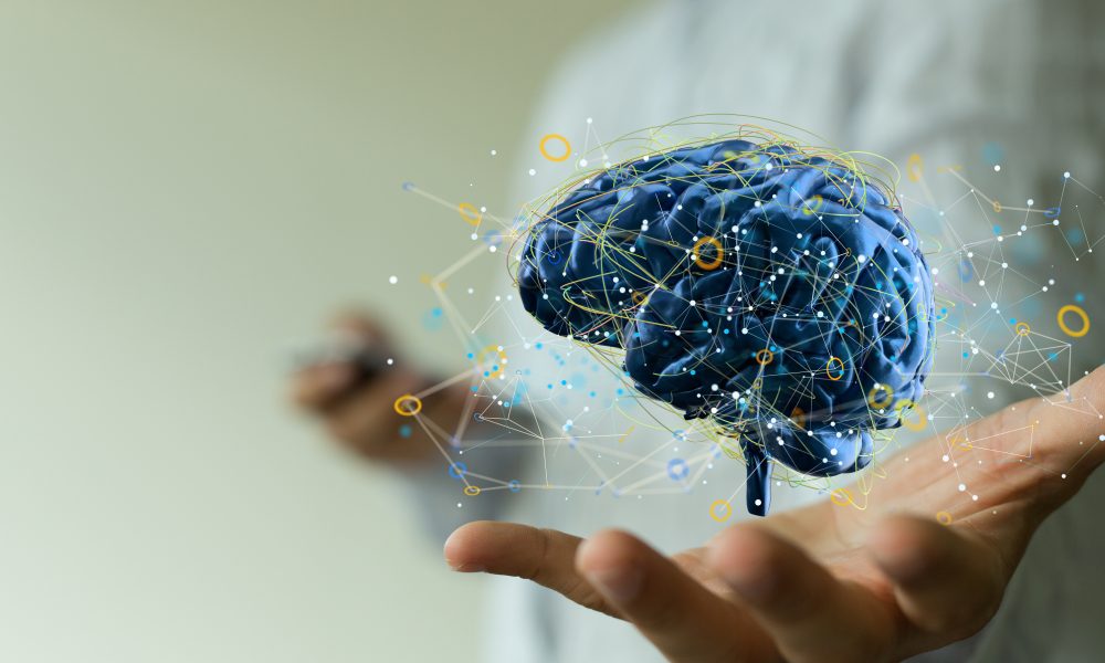 ‘Mini brain’ traces link between concussion and Alzheimer’s