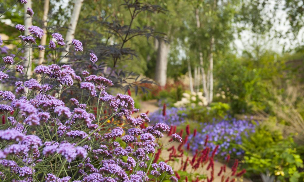 Latest Horatio’s Garden to be unveiled at Chelsea Flower Show