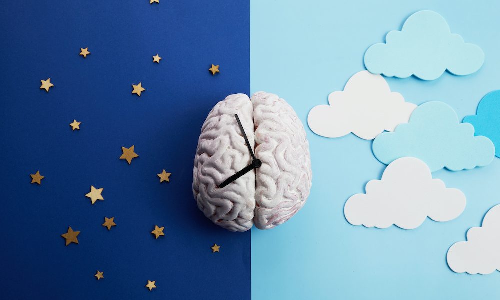 Pilot project targets regulation of body clock