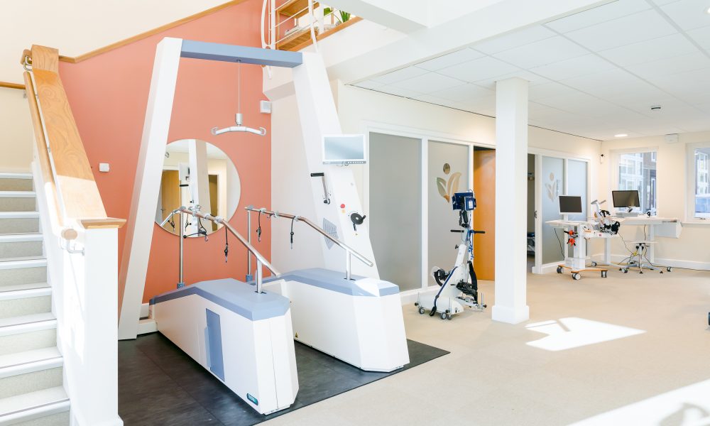 The role of the Lyra in neuro-rehab