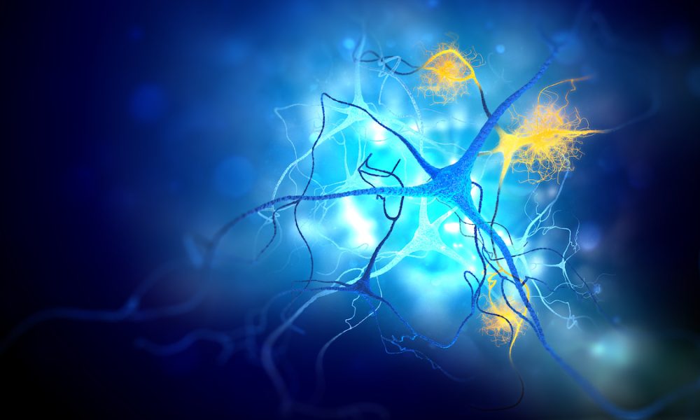 Rapid screen developed for new molecules that suppress disease-causing amyloids