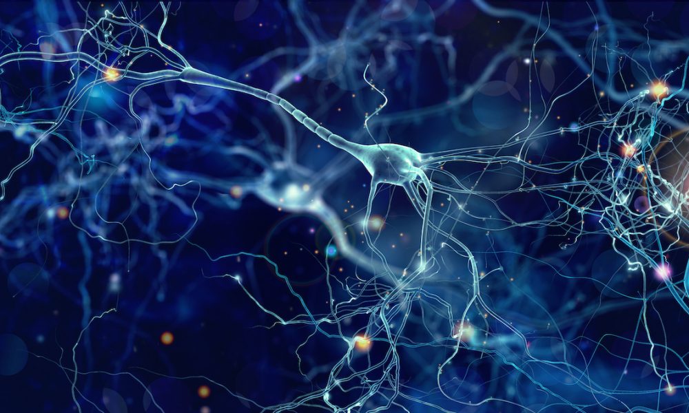 Key pathway leading to neurodegeneration in ALS identified