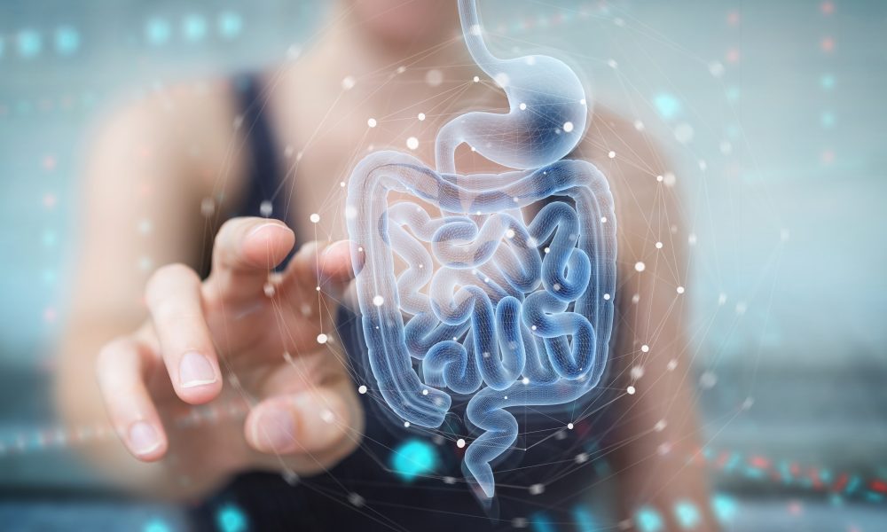 Research reveals link between gut health and Alzheimer’s progression