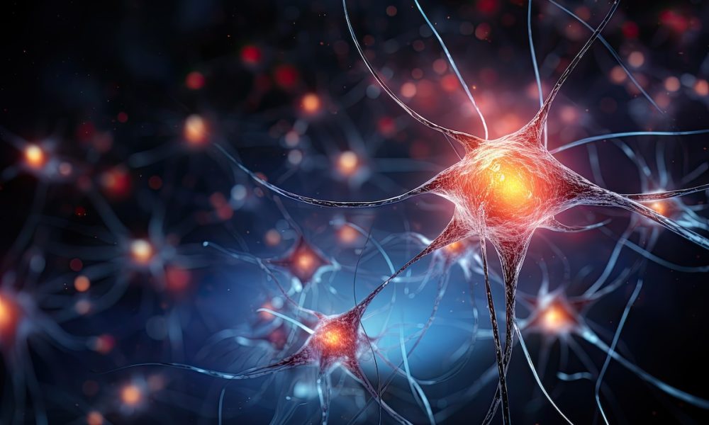 Scientists unlock secrets of mutation of molecular anchor that can lead to ALS