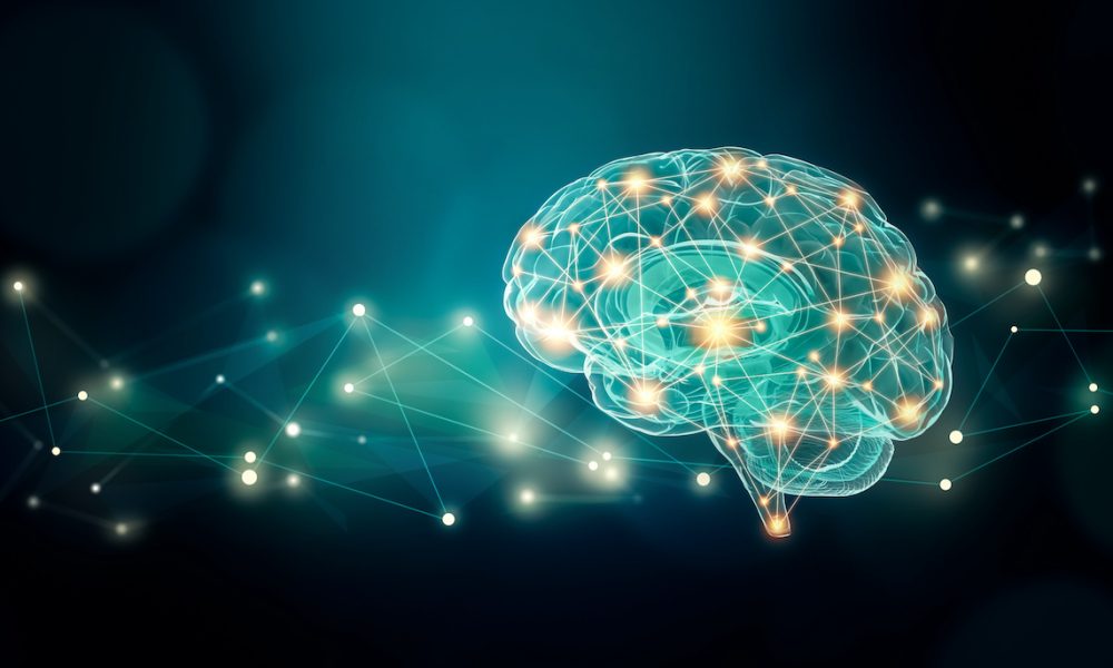 Healing cells pave way for new brain injury treatments