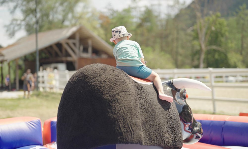 Study reveals study alarming rates of paediatric TBI from mechanical bull riding