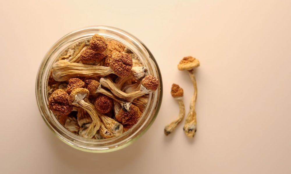 AdobeStock_418323371 AbbVie enters psychedelics to develop next gen mental health therapies