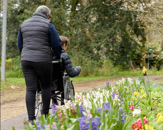 The role of specialist nursing in complex brain injury – perspective from a specialist nurse