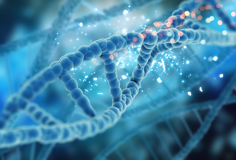 Stem cells rebuild nerve coating in MS mouse trial