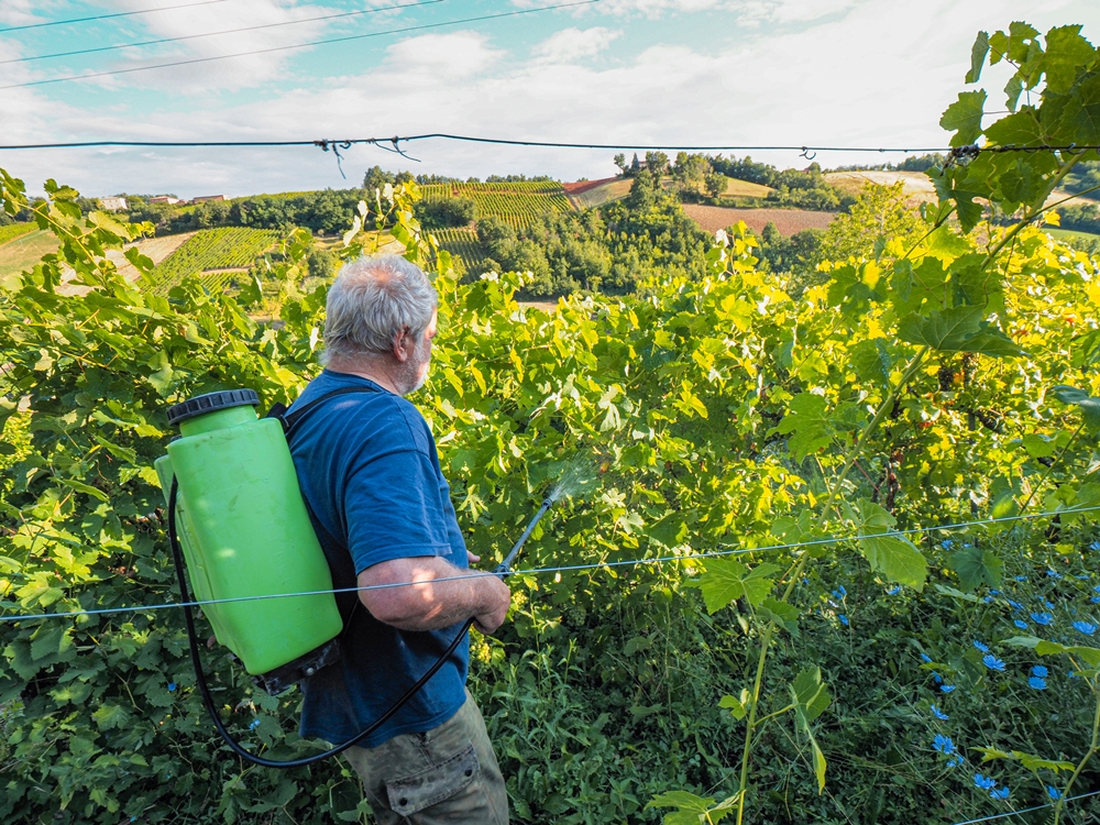 Pesticide may be linked to increased Parkinson’s risk