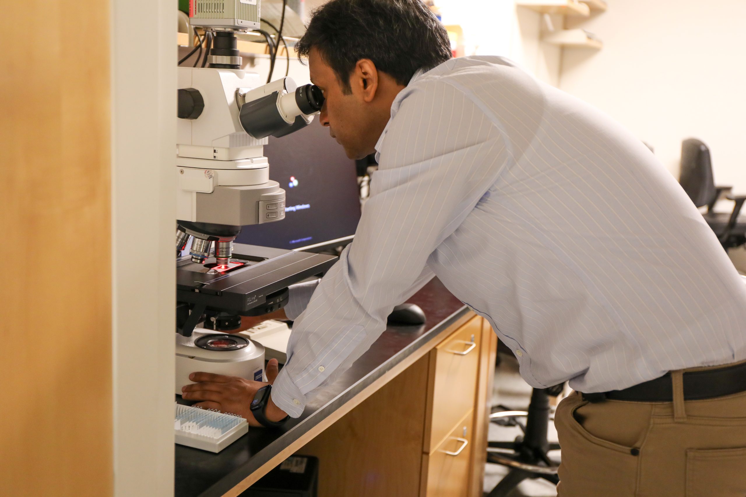 Lab developing targeted therapies to treat child brain injury