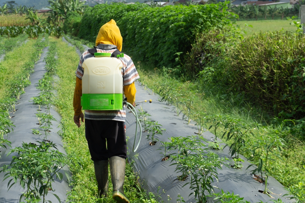 Vermont bans herbicide over potential Parkinson’s link