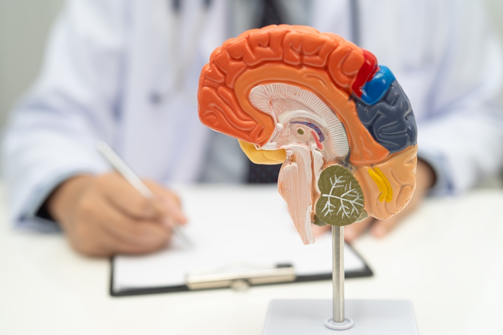 Researchers take brain cells to space to study MS