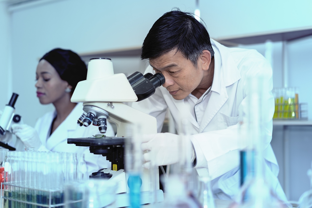 Plant compound may help repair brain injuries – study